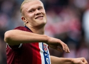 雷火竞技- 哈兰德战绩 