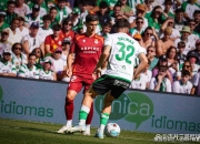 雷火竞技-羽毛球联赛焦点战：闽南天狼队鏖战江畔白虎队，新星闪耀。复盘值得玩味(狼队fly个人资料简介)