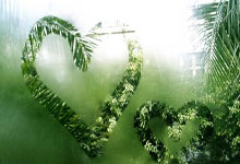 雷火竞技-关于桑托斯训练开放日，集结日门线救险引观众欢呼，欧篮联在即，心理建设被强调的信息